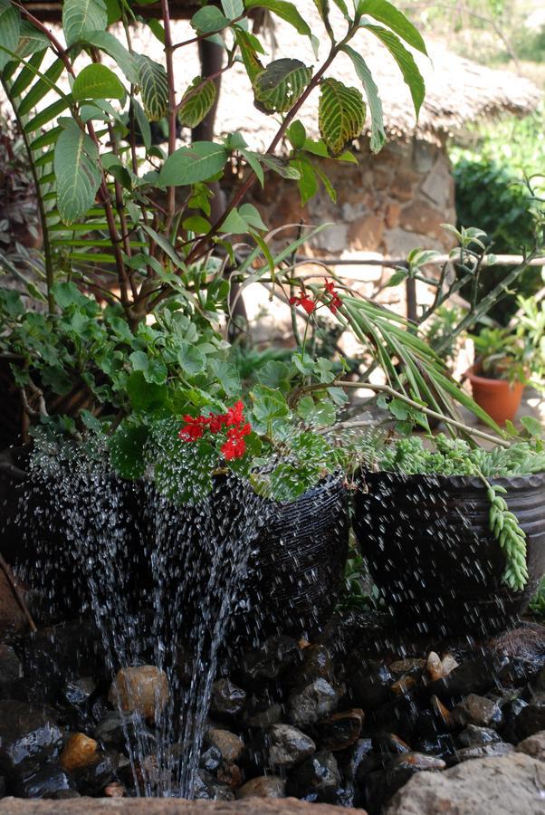 Osoita Lodge Nairobi Zewnętrze zdjęcie