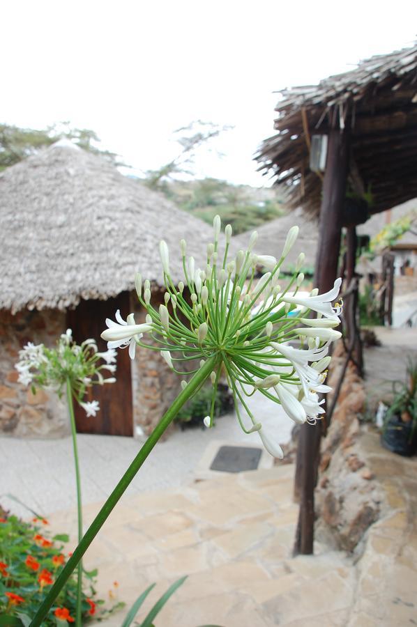 Osoita Lodge Nairobi Zewnętrze zdjęcie