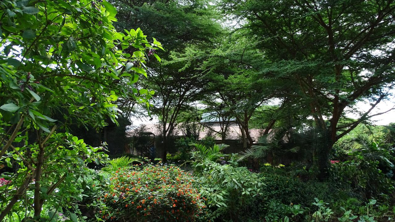 Osoita Lodge Nairobi Zewnętrze zdjęcie